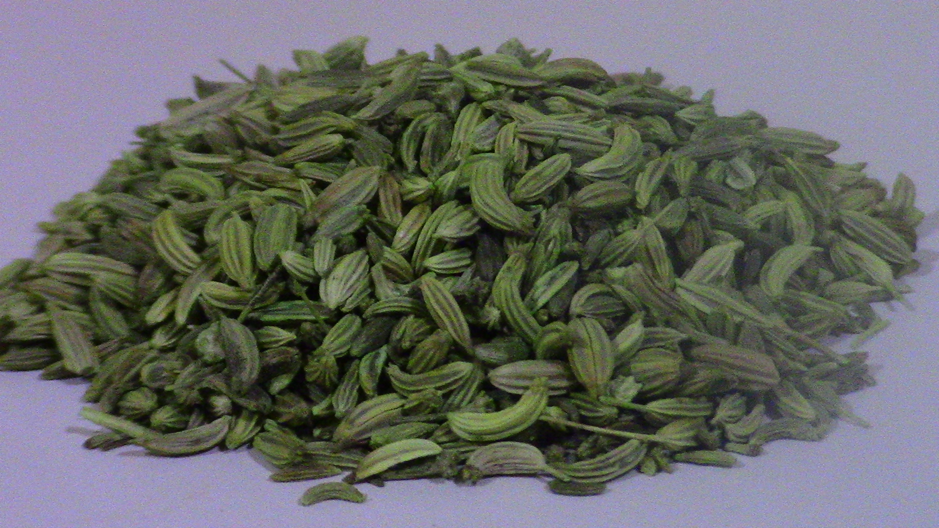 Fennel: The Digestive Friend (image credits: wikimedia)
