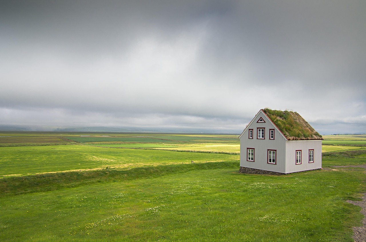 Iceland's Remote Location Drives Up Food Costs (image credits: pixabay)