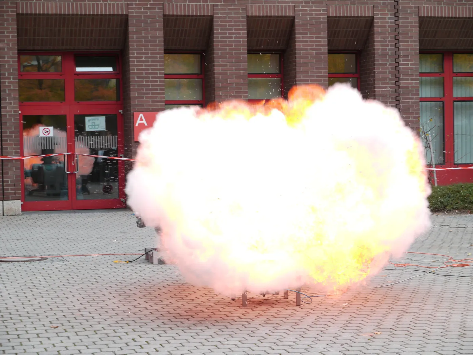 Sugar and Powdered Sweeteners (Image Credits: Wikimedia)