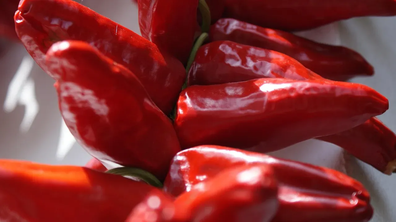 Piment d'Espelette: The Basque Pepper with Pedigree (Image Credits: Pixabay)