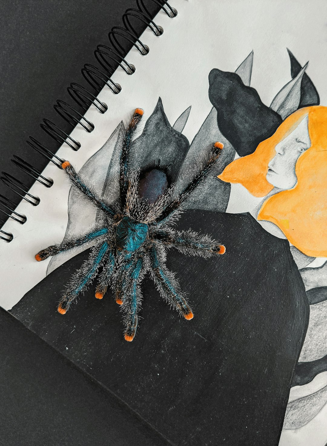 The Future of Exotic Seafood Harvesting (image credits: unsplash)