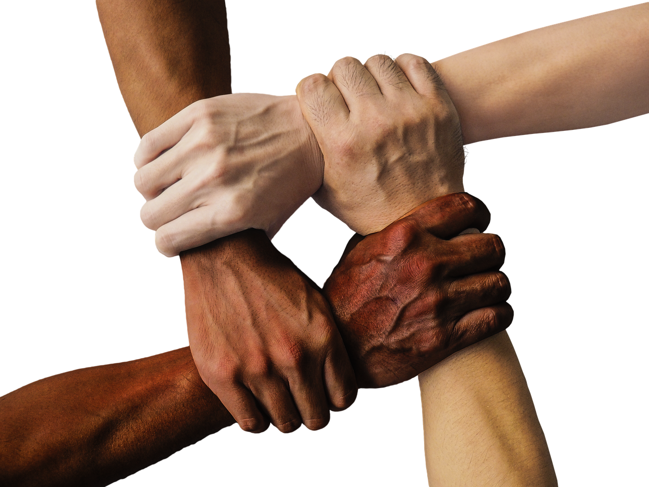 Building a Supportive Community (image credits: pixabay)