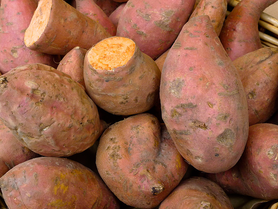 Sweet Potatoes: The Nutritious Root That Falls Short (image credits: flickr)