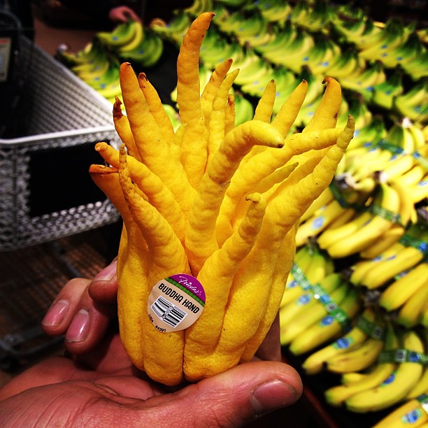 Buddha's Hand - The Mystical Finger Citron (image credits: flickr)