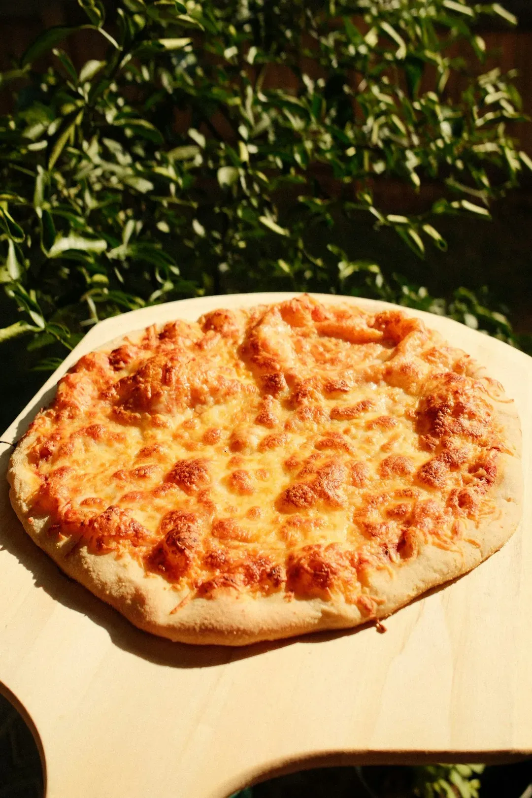 Dominos Finally Embraces Stuffed Crust After Decades of Resistance (Image Credits: Unsplash)