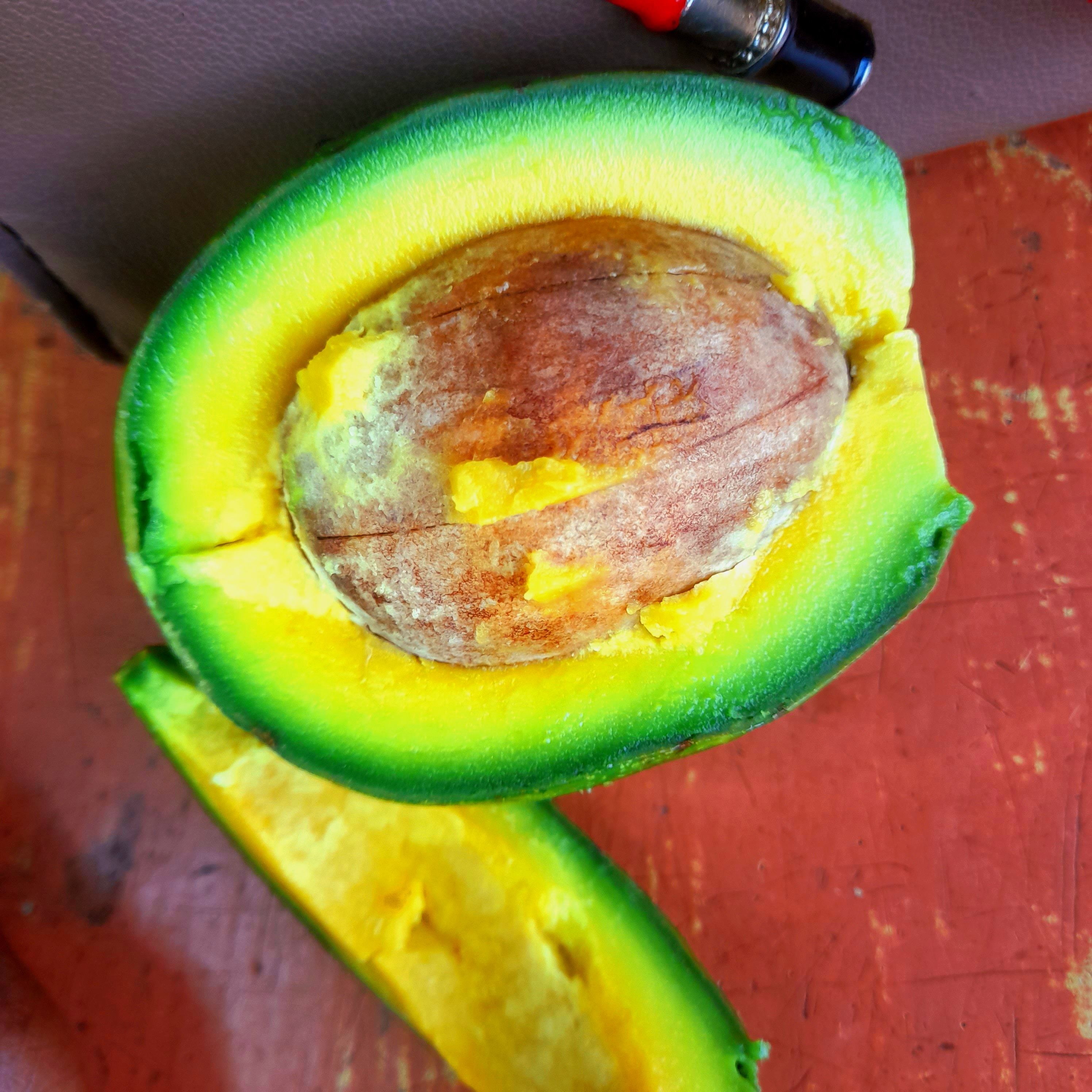 Ripe Avocados: The 2-Day Window (image credits: wikimedia)