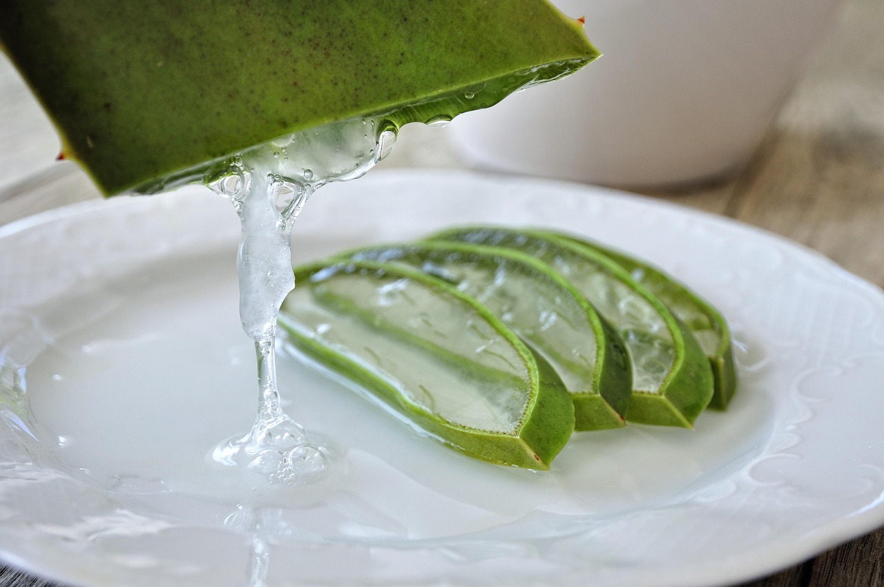Aloe Vera: Cool Comfort for Burns & Skin Healing (image credits: pixabay)