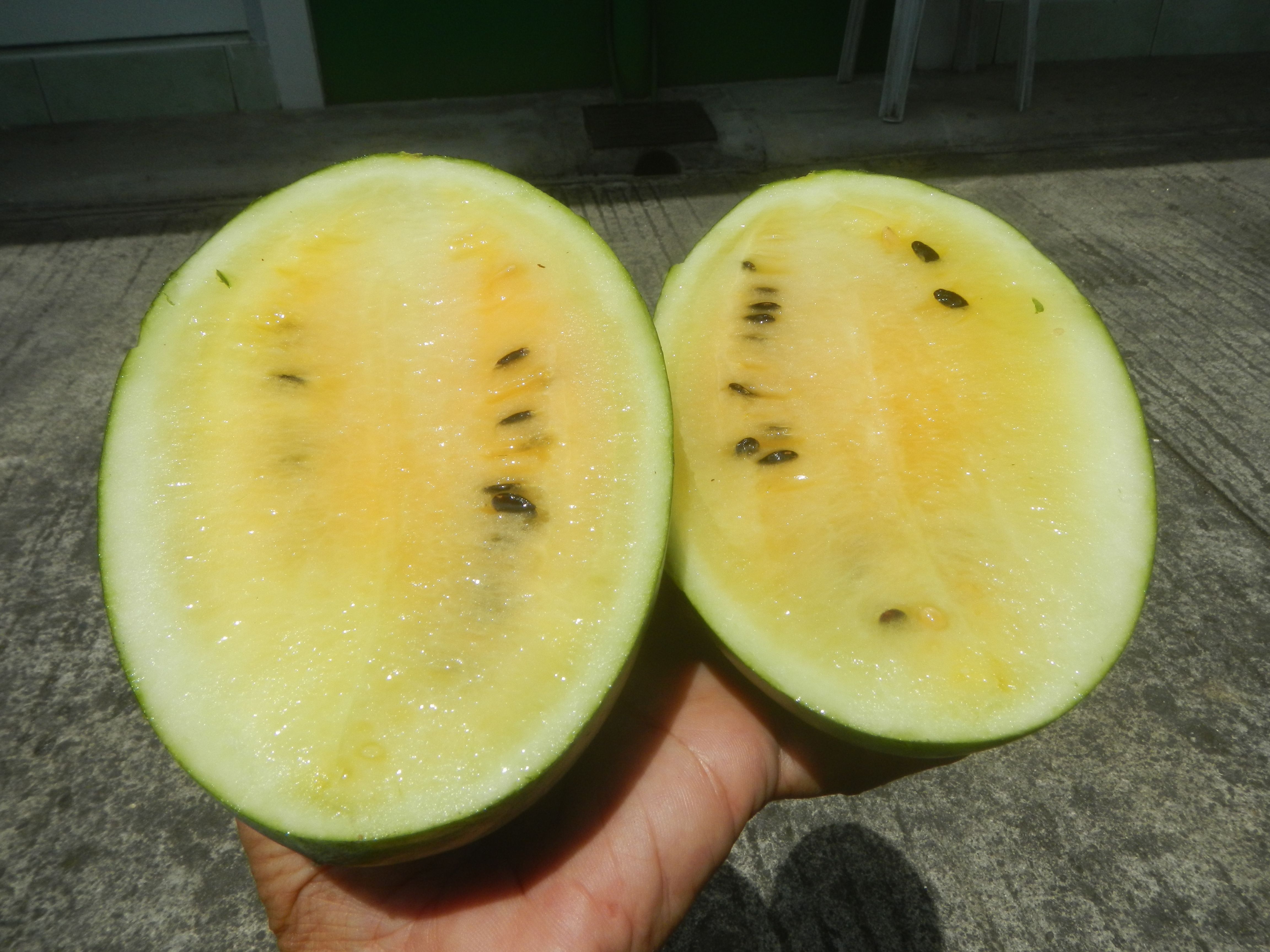 Yellow Crimson Sweet Watermelon: The Smart Melon (Image Credits: Wikimedia)