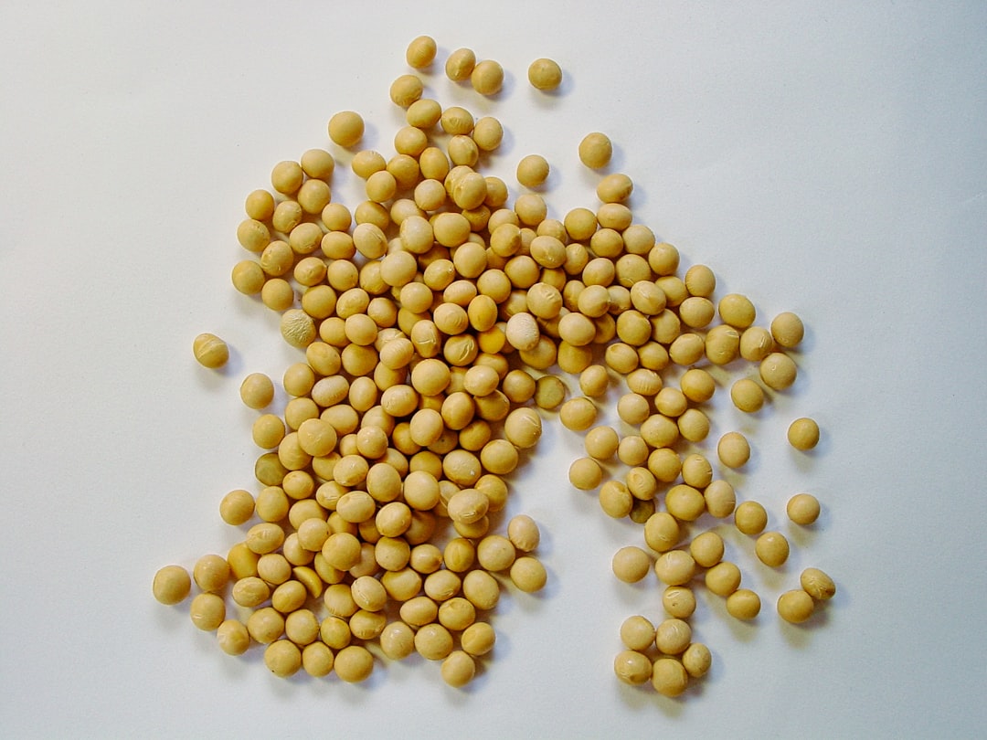 Soybeans - The Protein Transformation Masters (image credits: unsplash)