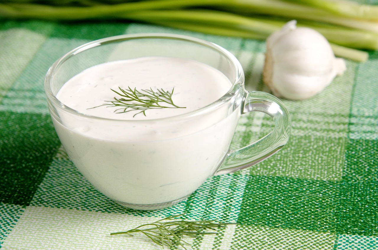 Dairy-Based Sauces and Dishes (image credits: pixabay)