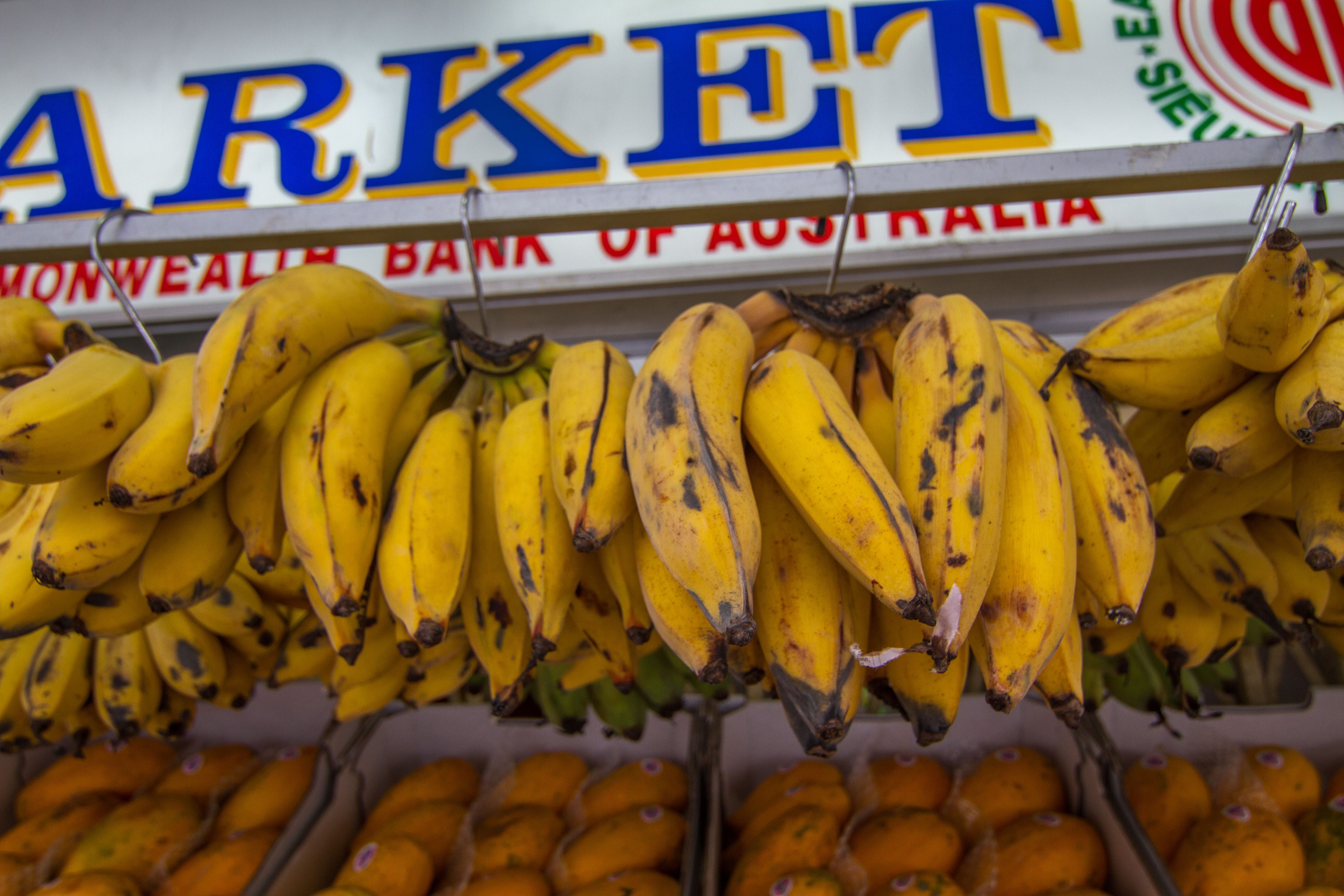 Bananas: The Potassium King with a Sugar Surprise (image credits: wikimedia)