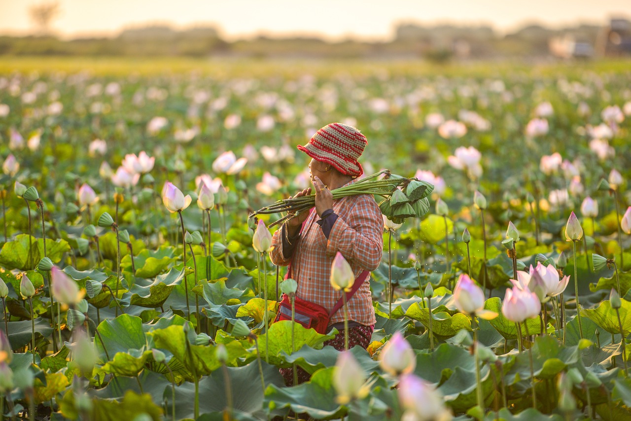 Policy Change: Advocating for a Fairer Food System (image credits: pixabay)