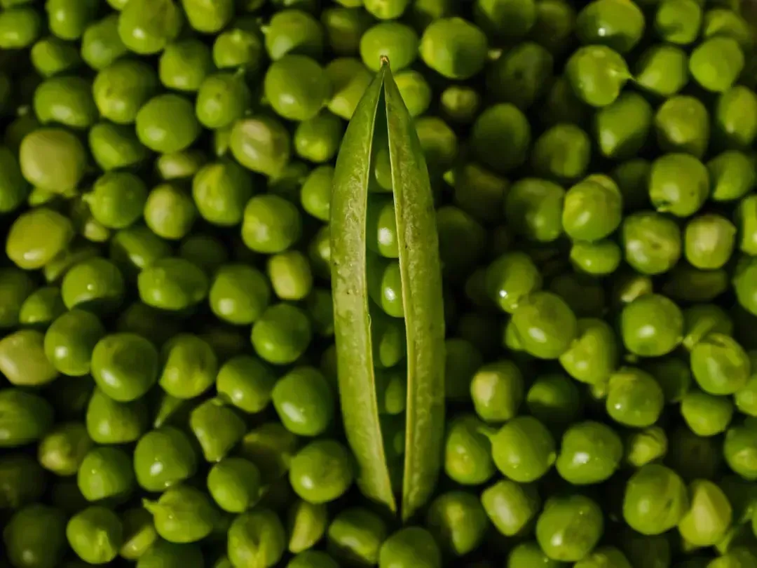 Field Peas (Image Credits: Unsplash)
