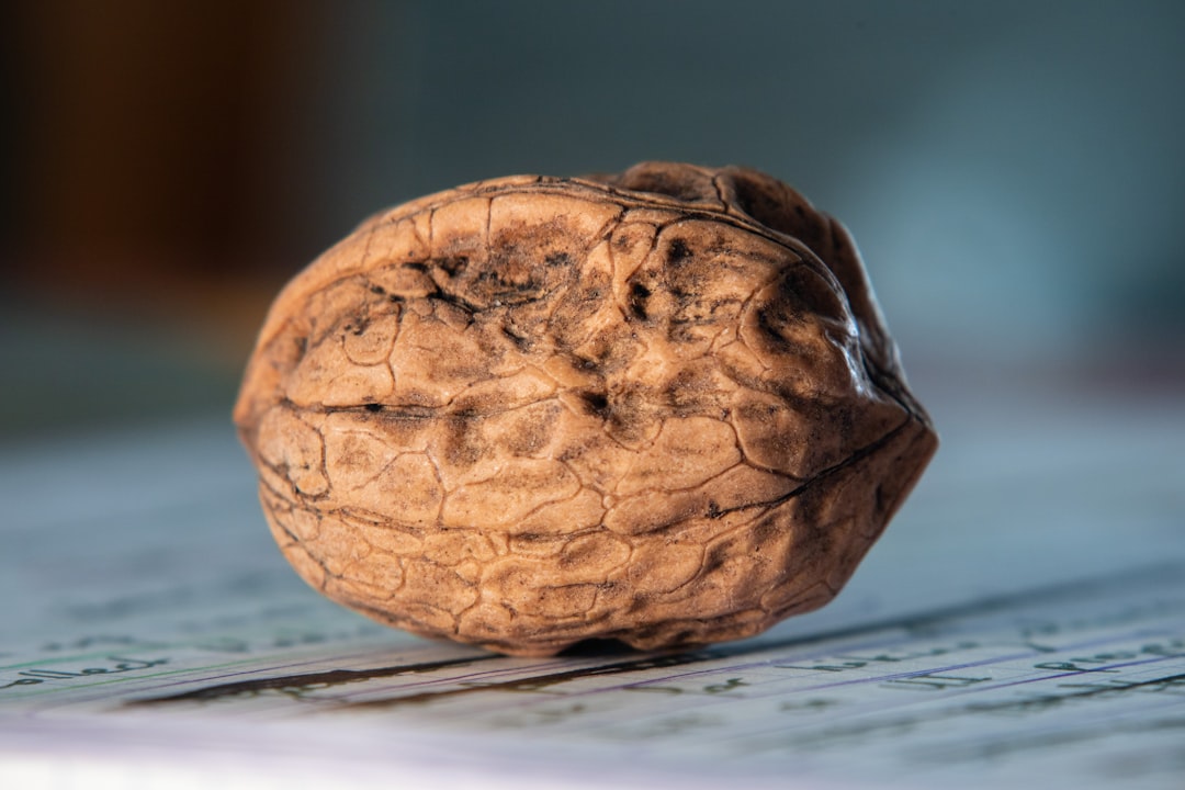 Walnuts (image credits: unsplash)