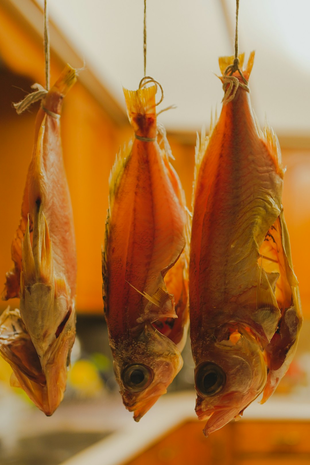 Minimal Meat, Mostly Fish or Plant Proteins (image credits: unsplash)