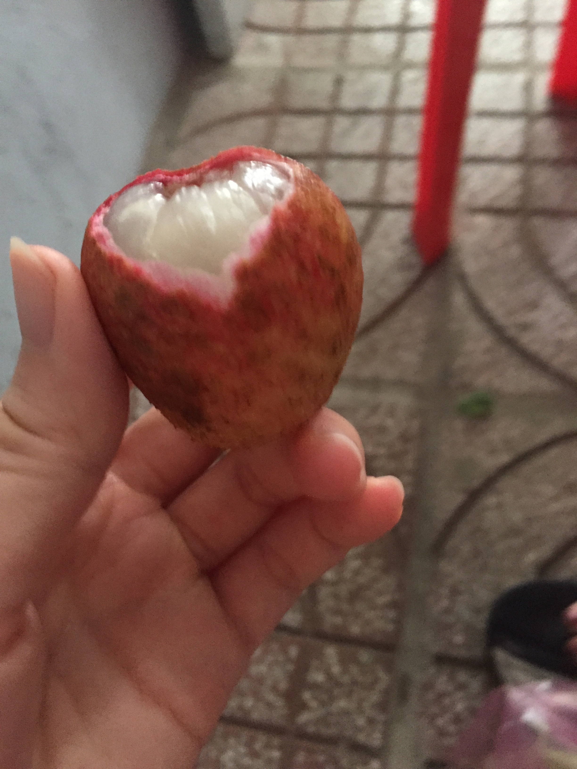 Lychee: Exotic, Juicy, and Loaded With Sugar (image credits: wikimedia)