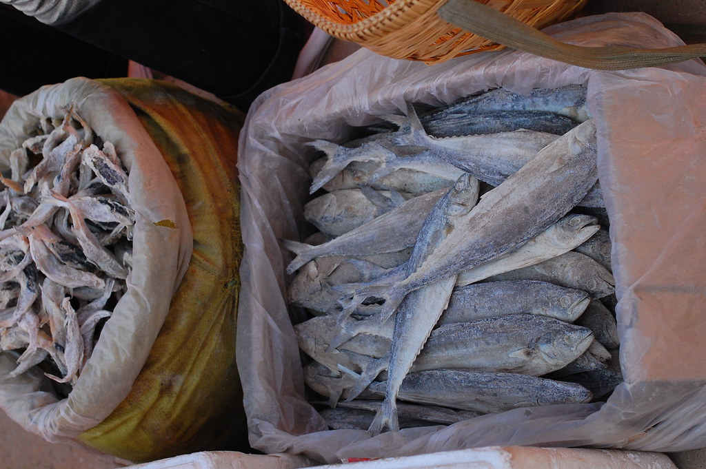 Frozen Fish Sticks (image credits: flickr)
