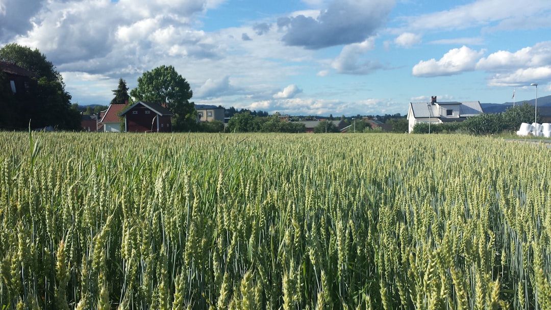Sweden Integrates Environmental Goals with Agricultural Policy (Image Credits: Unsplash)