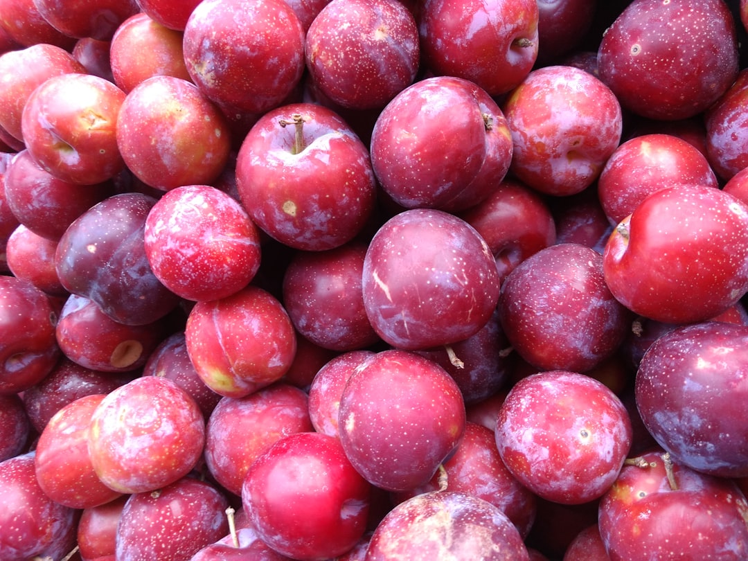 Plums: Modest Carbs, Manageable Portions (image credits: unsplash)