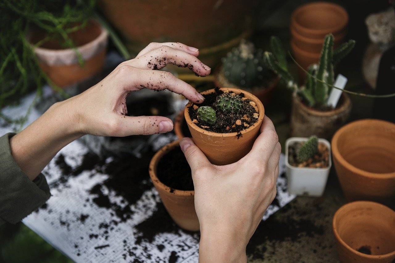 Bringing Microbes for Plant Health (image credits: pixabay)