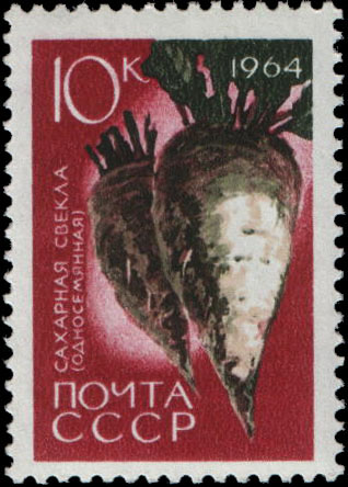 Beets: The Sweet Root of All Evil (image credits: wikimedia)