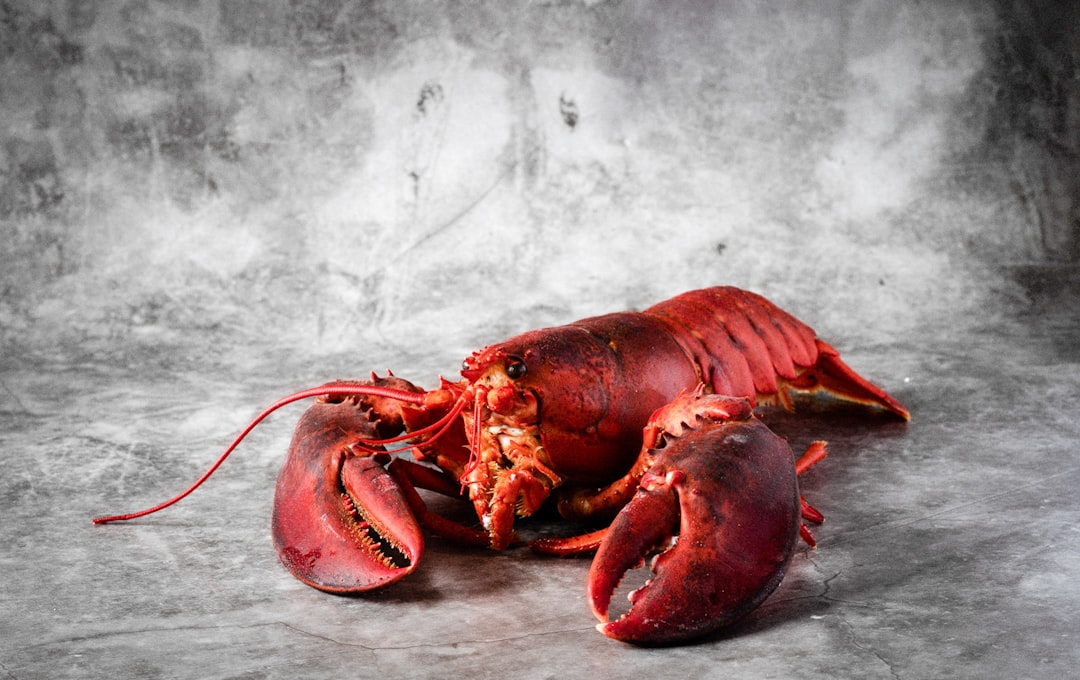 6. Seafood (Lobster, Salmon, Crab) (image credits: unsplash)