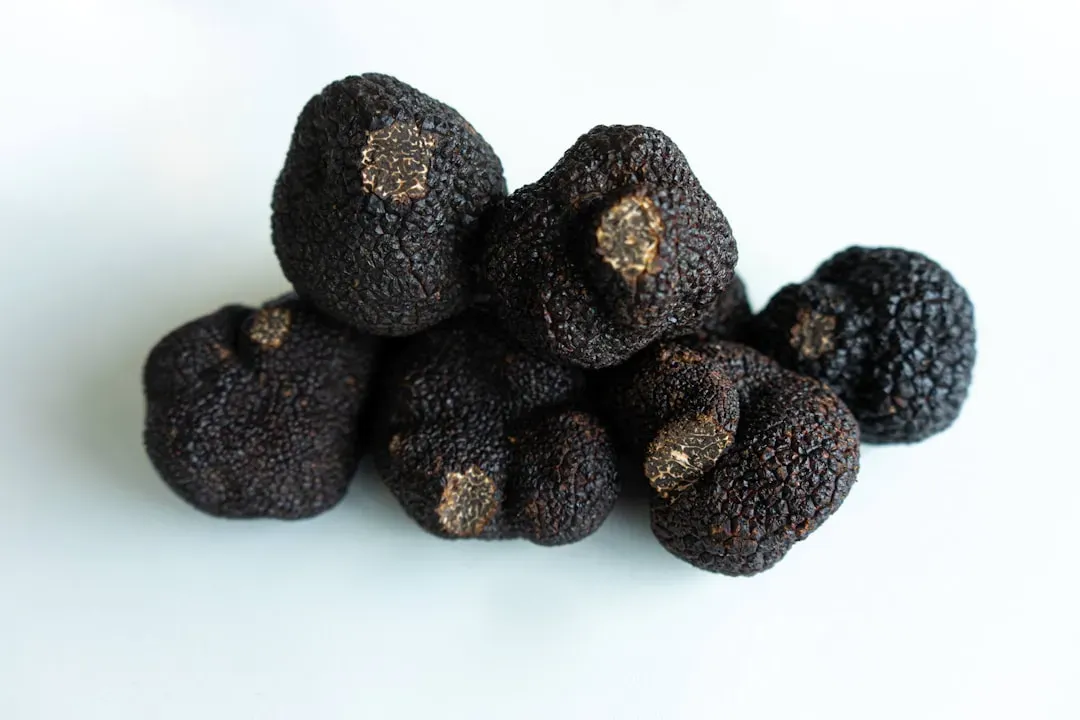 What Real Truffles Actually Cost (Image Credits: Unsplash)