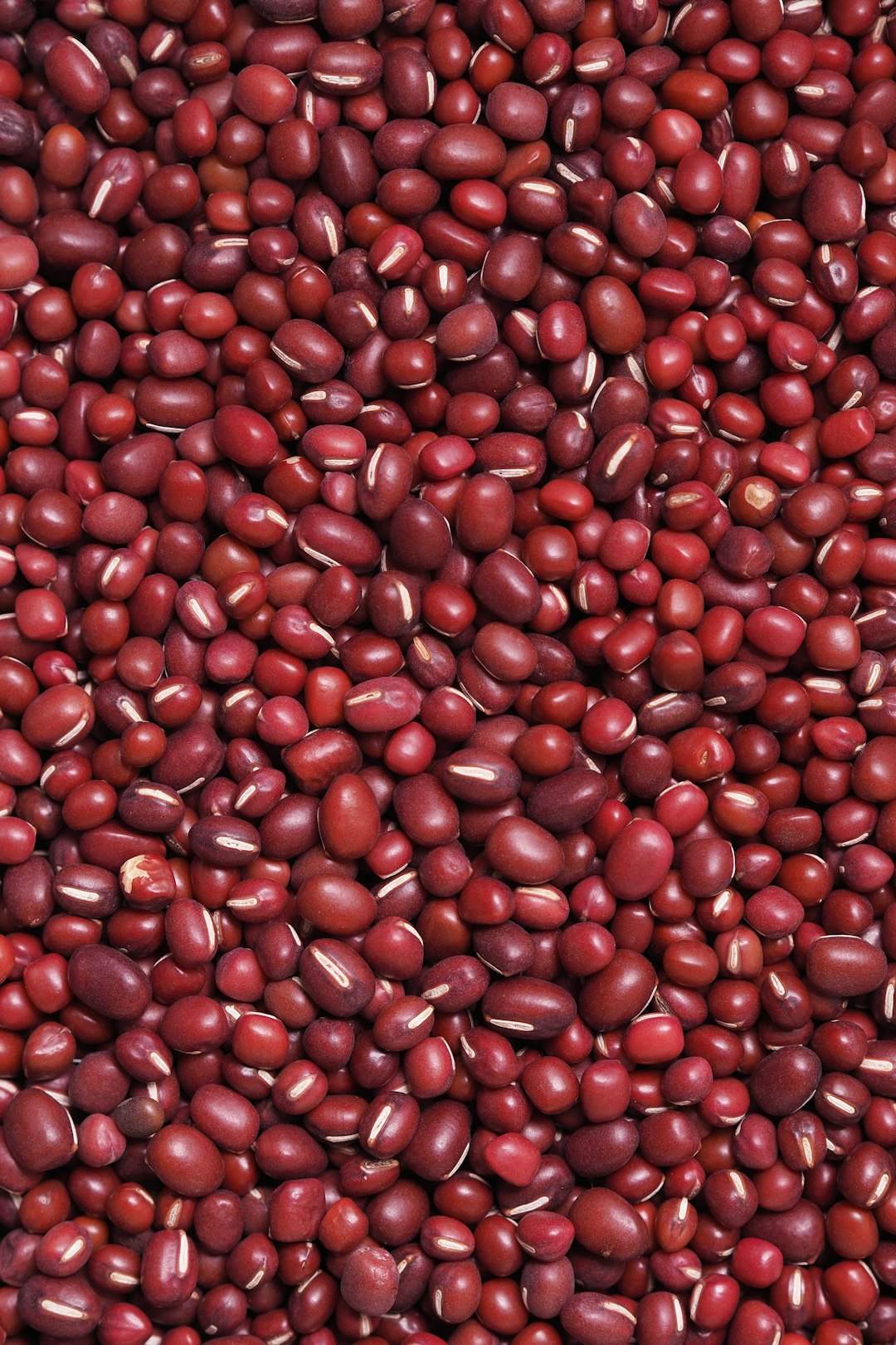 Geechee Red Peas from the Sea Islands (Image Credits: Unsplash)