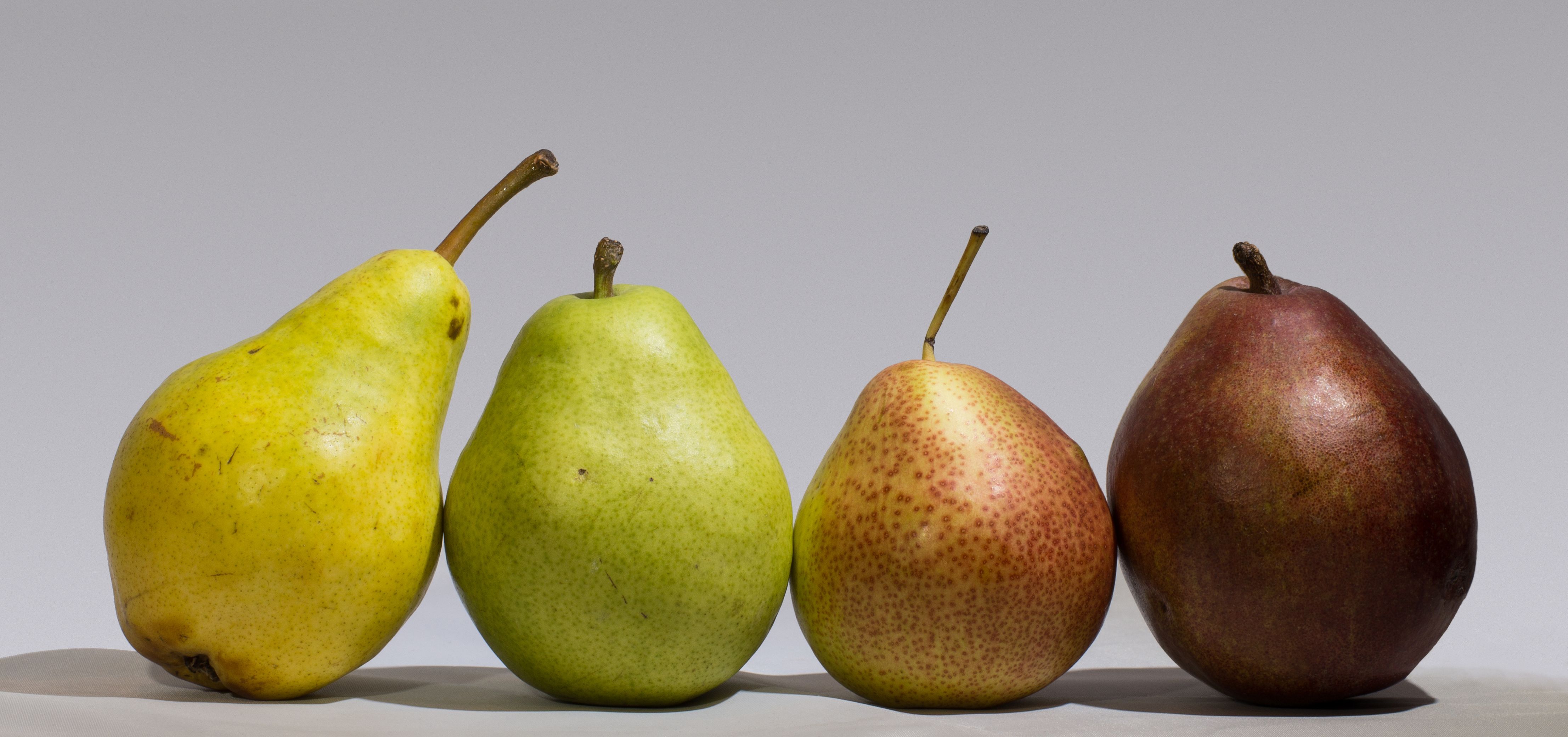 Pears: The Sweet Treat (image credits: wikimedia)