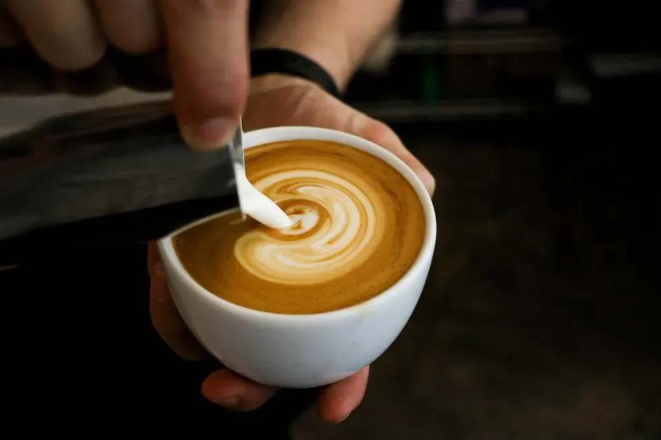 Cappuccino: The Creative Perfectionist (Image Credits: Stocksnap)