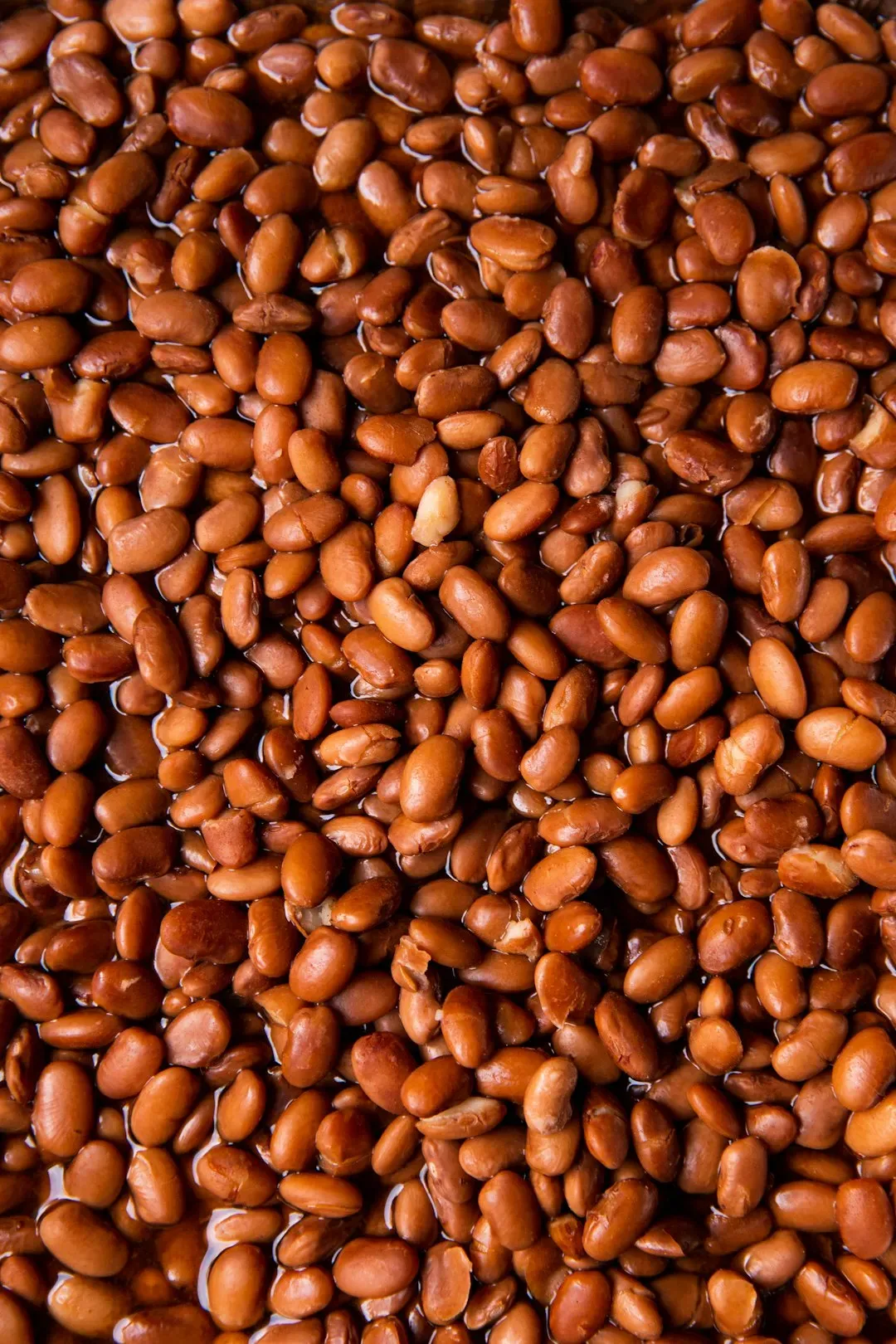 4. Legumes: Fiber and Resistant Starch Powerhouses (Image Credits: Unsplash)