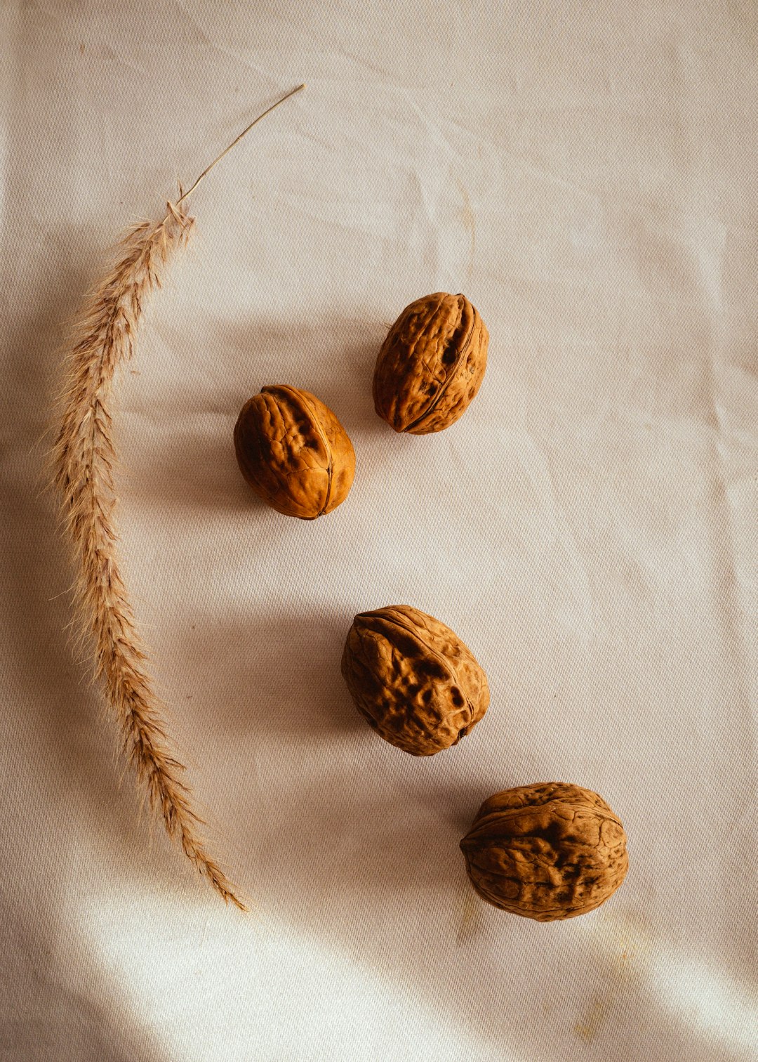 Walnuts: Brain Food with a Twist (image credits: unsplash)