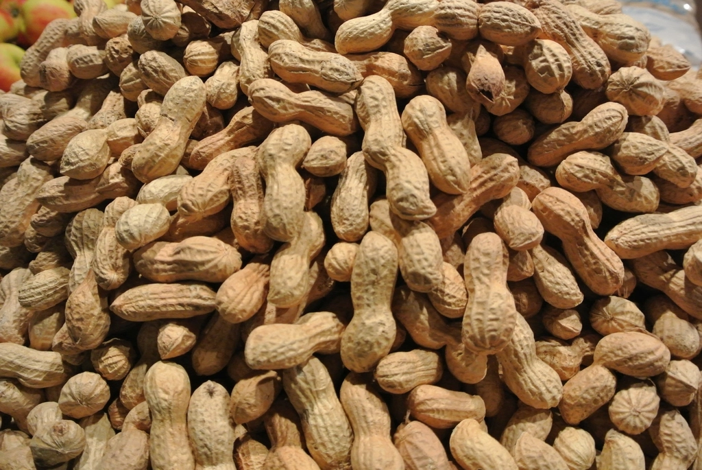 Nuts Instead of Chips (image credits: rawpixel)