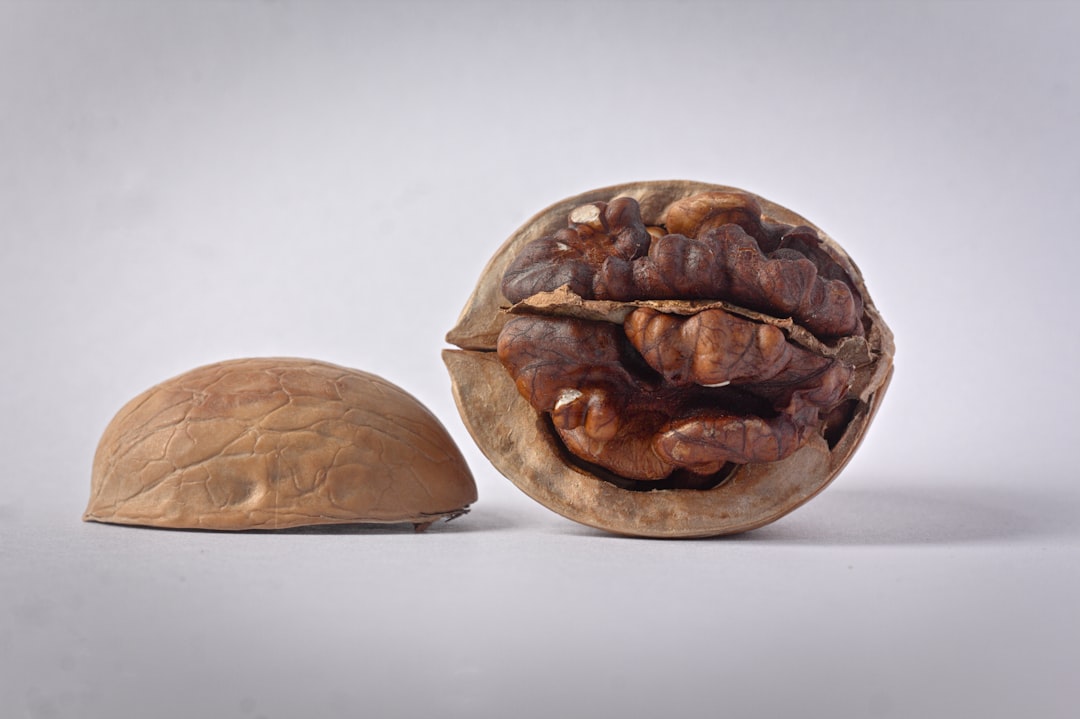 Walnuts - Nature's Brain Food for Your Heart (image credits: unsplash)