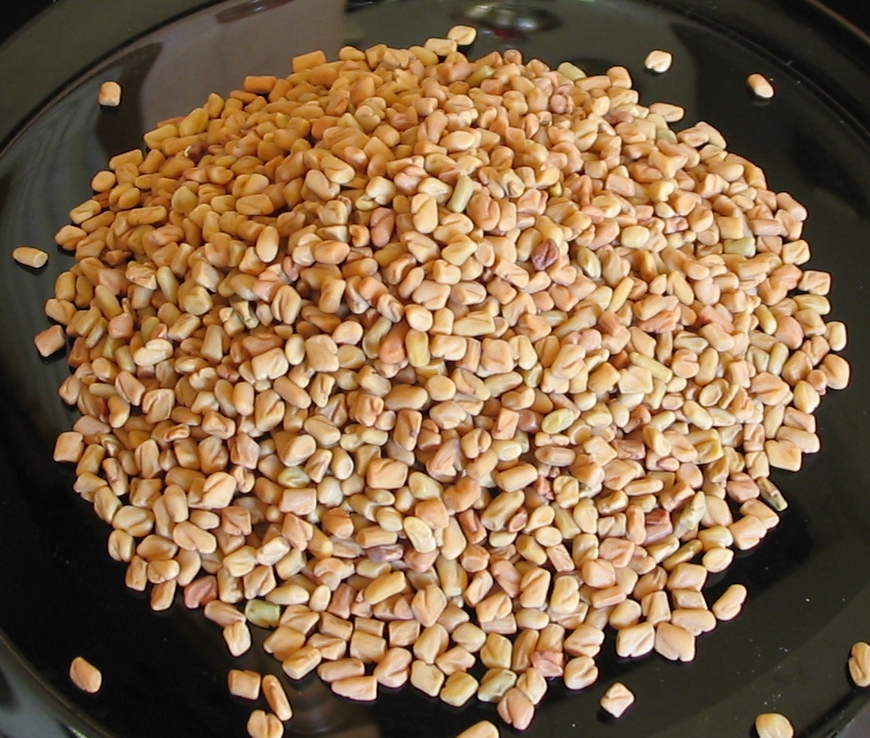Fenugreek - The Maple Mystery (image credits: Own workTransferred from en.wikipedia, Public domain, https://commons.wikimedia.org/w/index.php?curid=17269853)