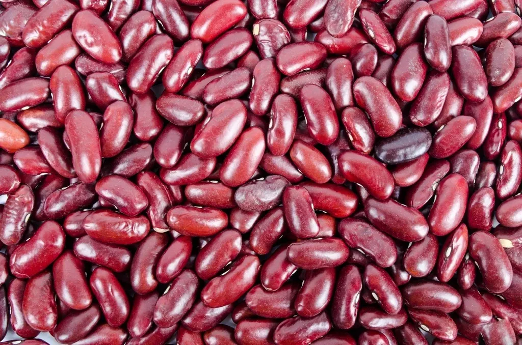 Red Kidney Beans: The Toxic Legume (Image Credits: Rawpixel)