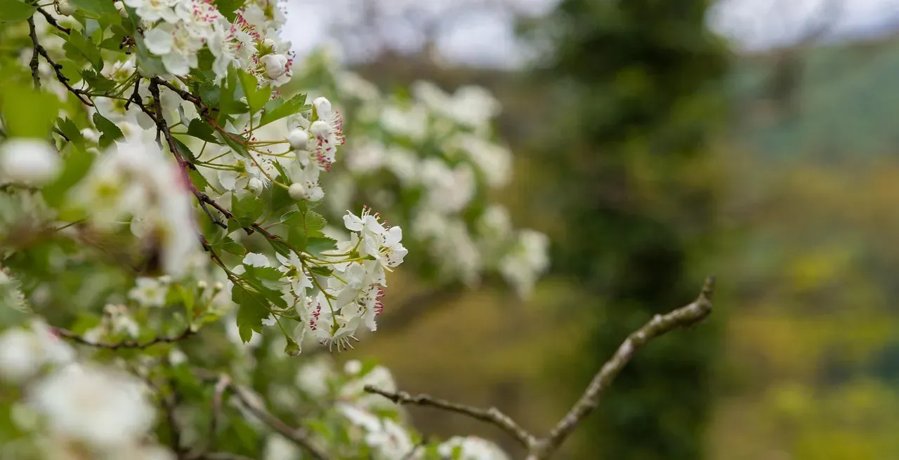 What the Moon Actually Does to Human Biology (Image Credits: Pixabay)