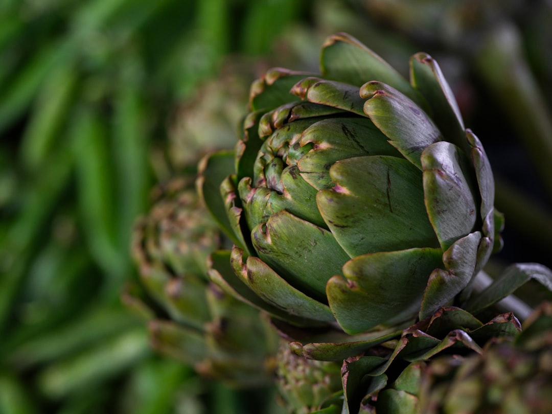 Artichokes: The Mediterranean Secret Weapon (image credits: unsplash)