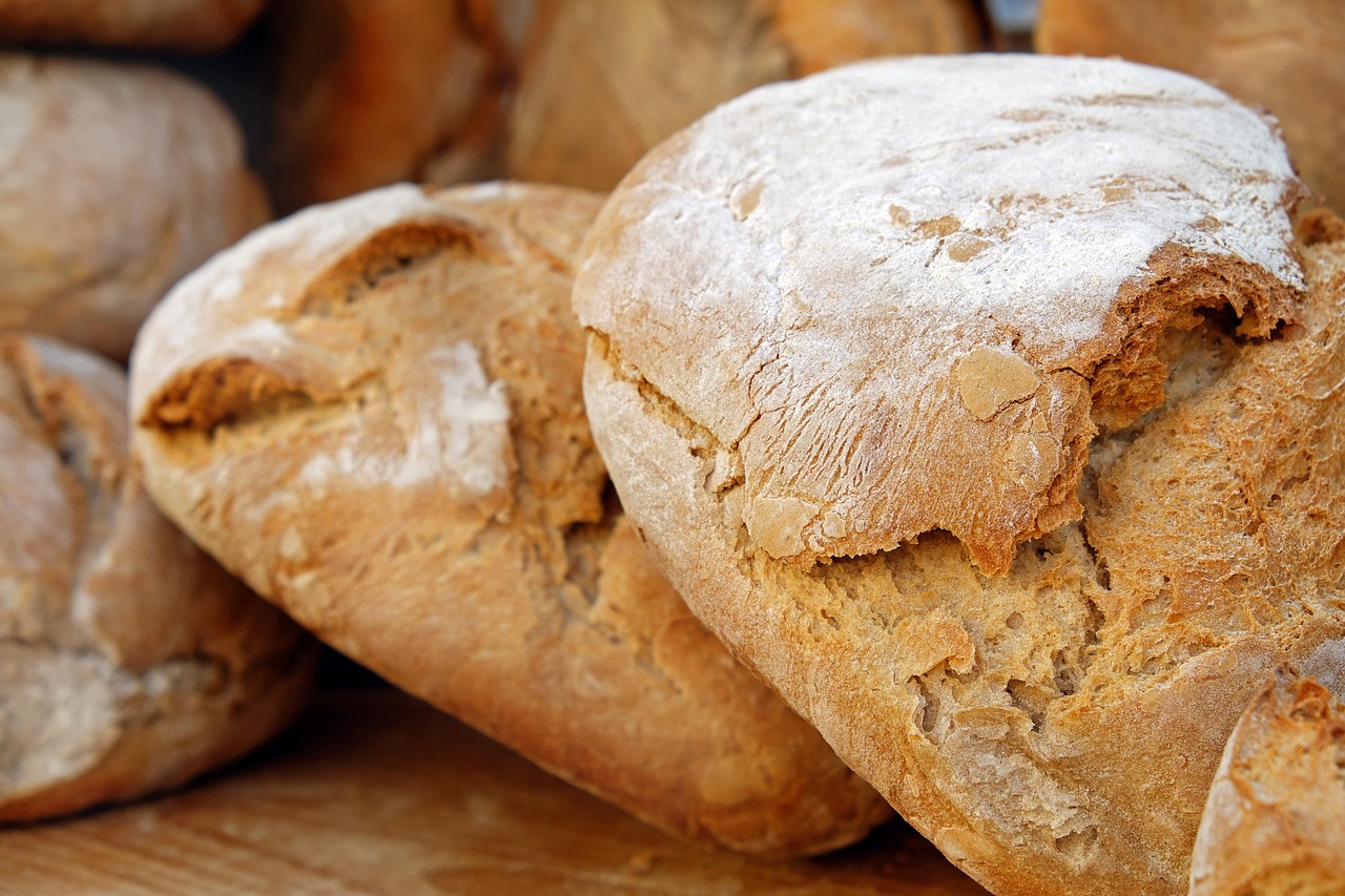 Sardinia’s Sourdough Bread and Goat Cheese (image credits: pixabay)