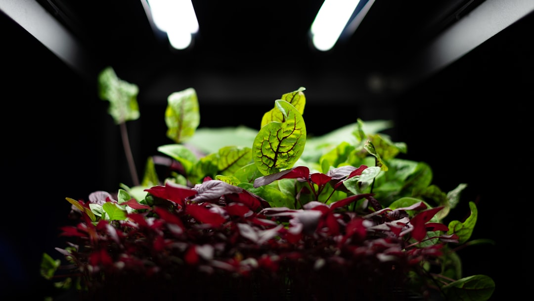 What This Means for Tomorrow's Food System (image credits: unsplash)