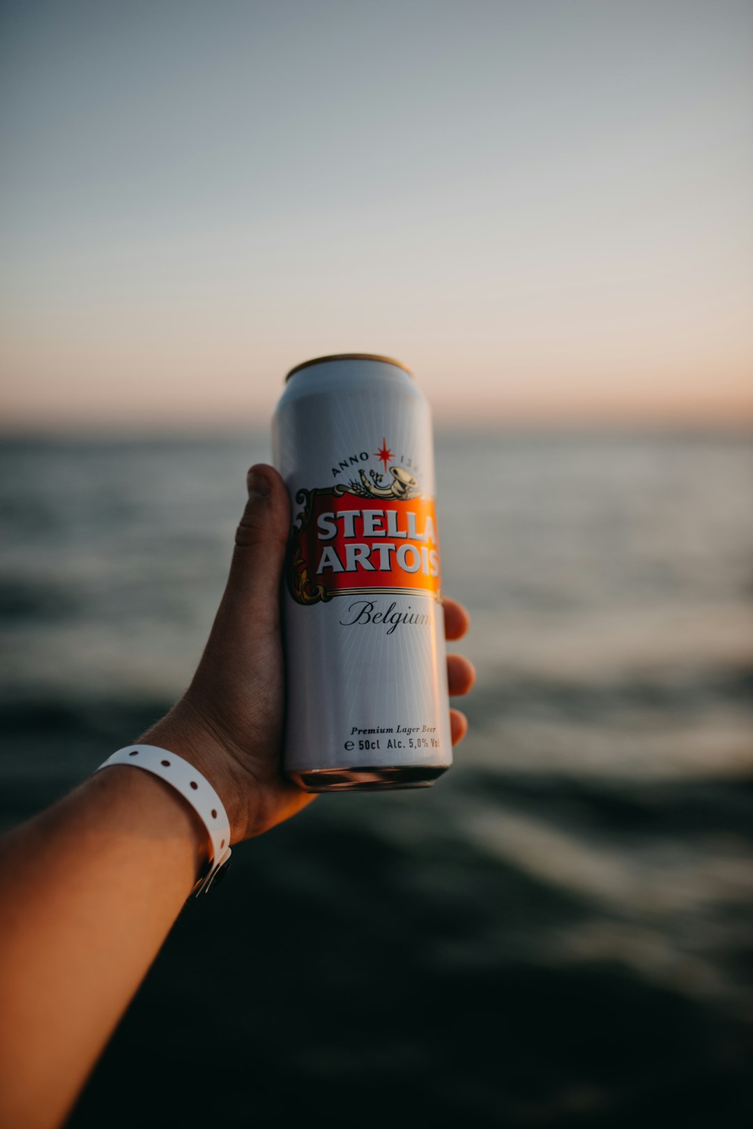 Stella Artois – From Christmas Gift to Global Icon Since 1366 (image credits: unsplash)
