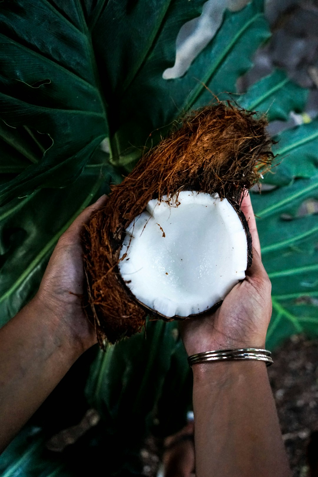 The Versatile Coconut: A Culinary Chameleon (image credits: unsplash)
