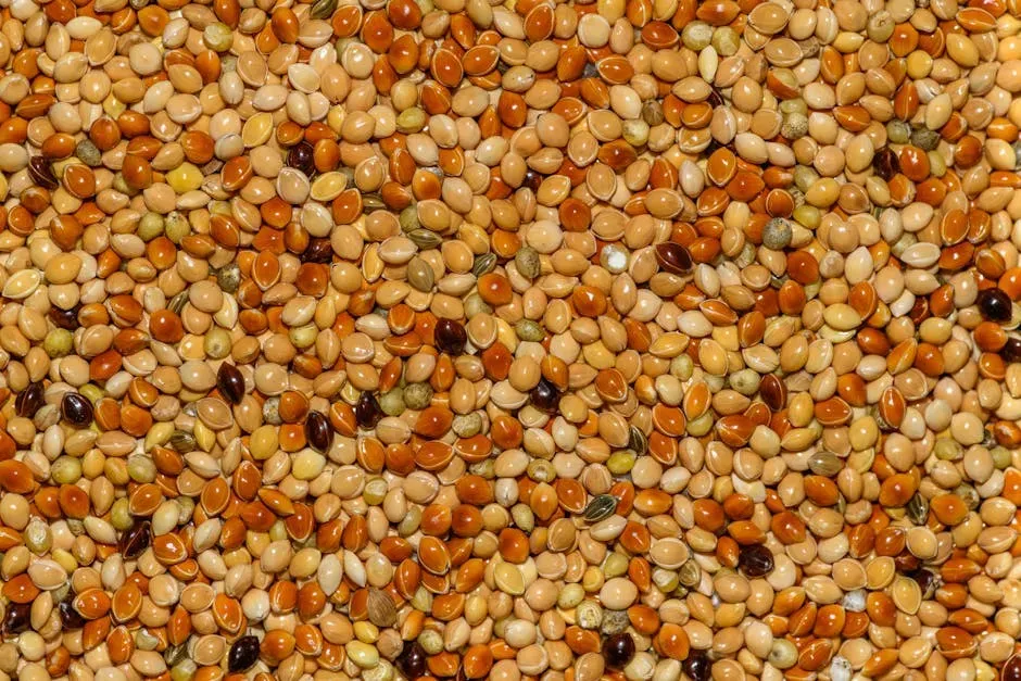 7. Sorghum: Slow-Digesting and Satisfying (Image Credits: Pexels)