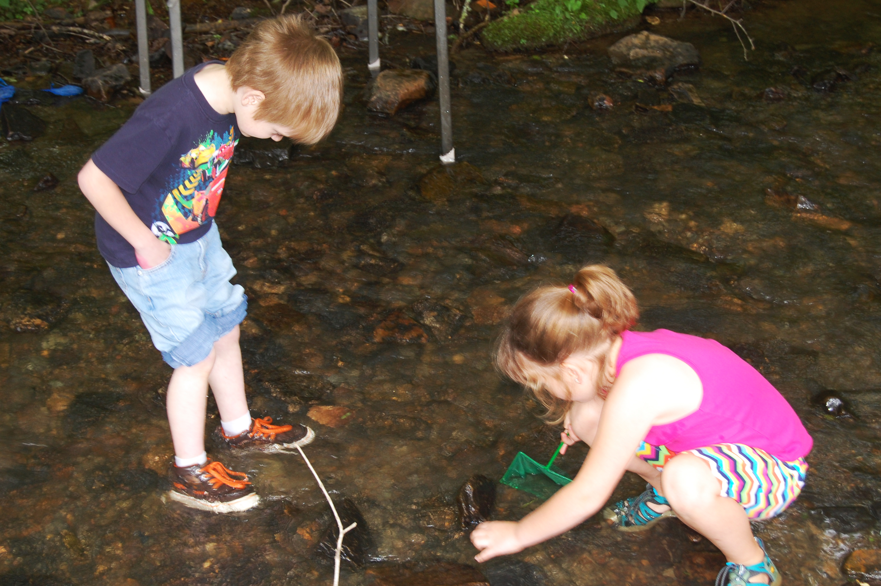 The Impact on Children and Educational Settings (image credits: wikimedia)