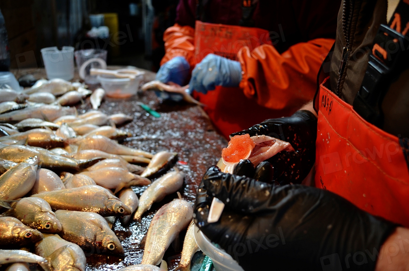 Regulatory Framework (image credits: rawpixel)