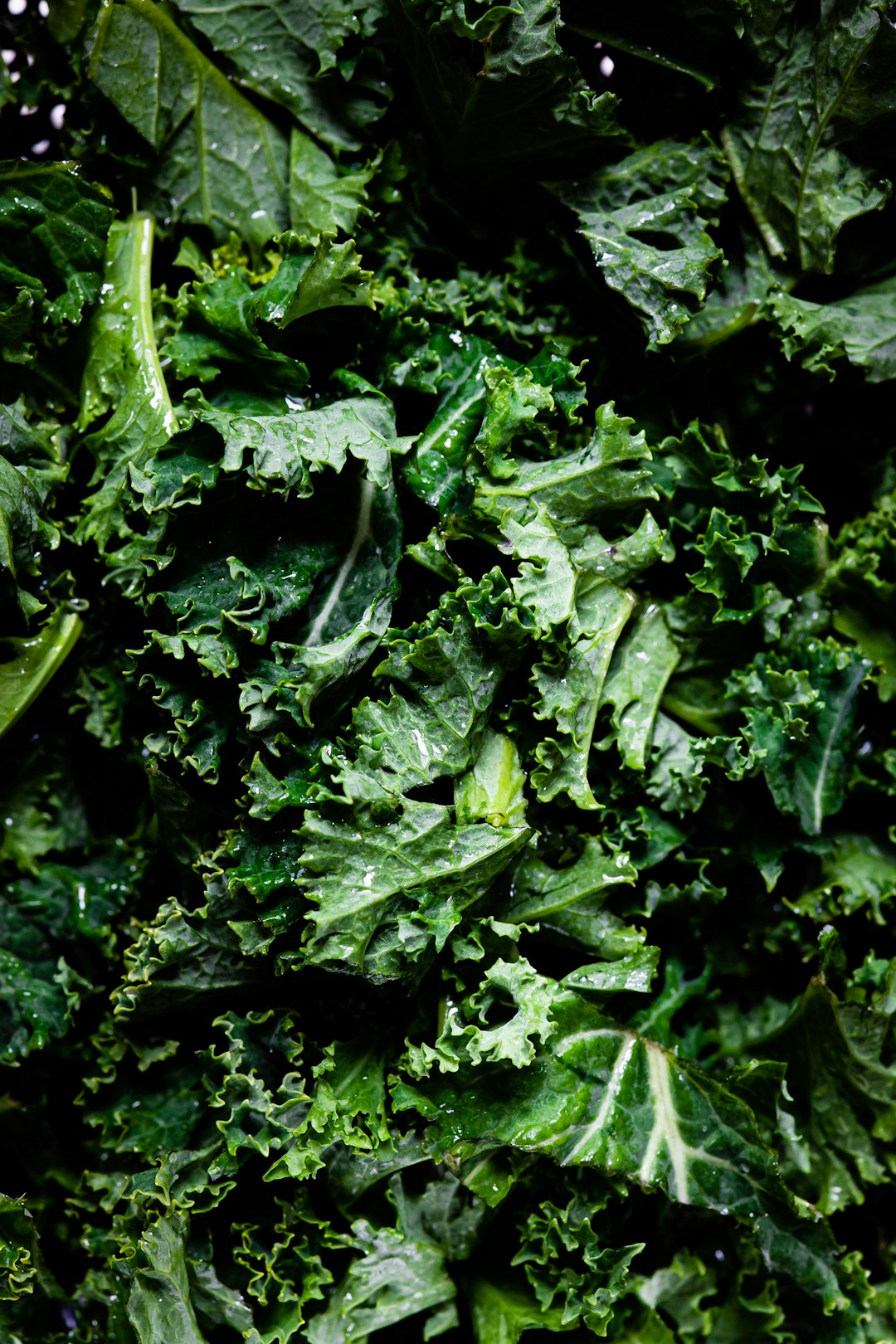 Kale Becomes Even More Nutritious After Freezing (image credits: unsplash)