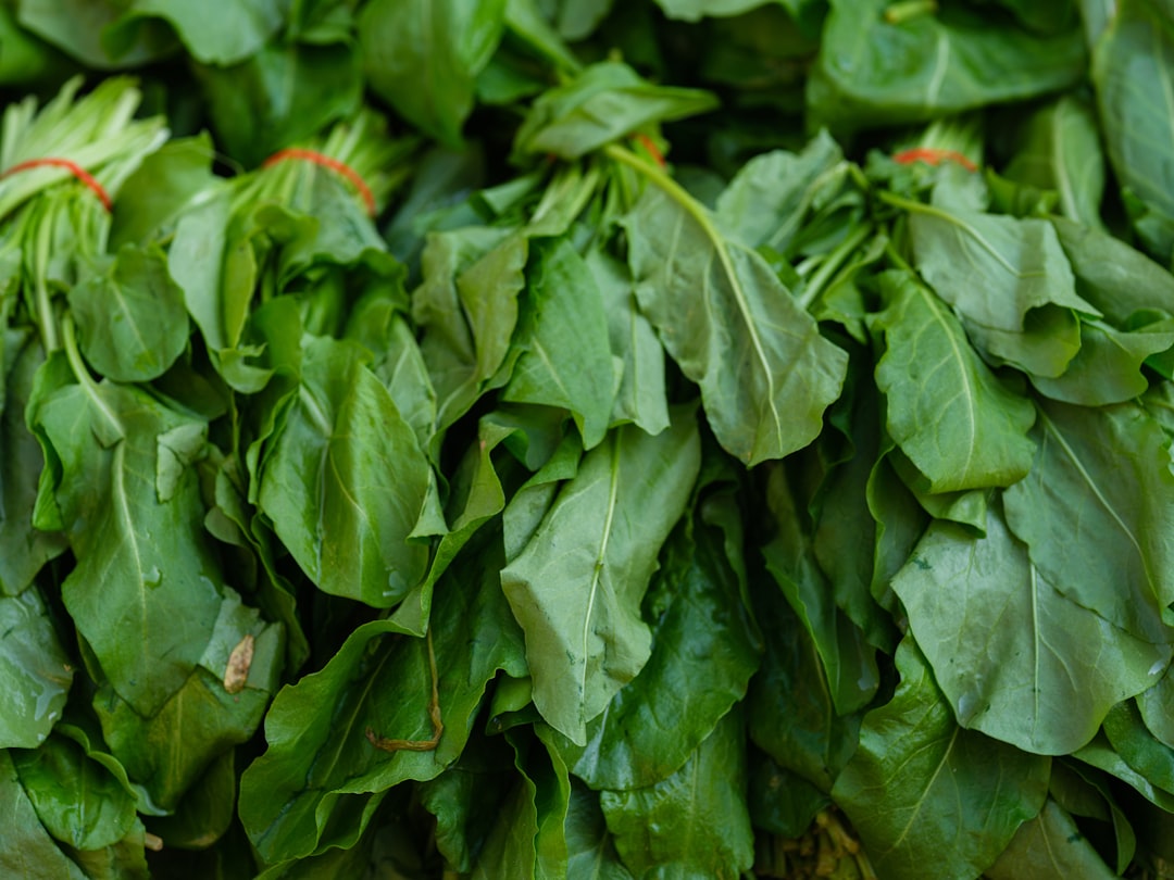 Spinach Can Lose 90% of Its Vitamin C Within Two Days (image credits: unsplash)