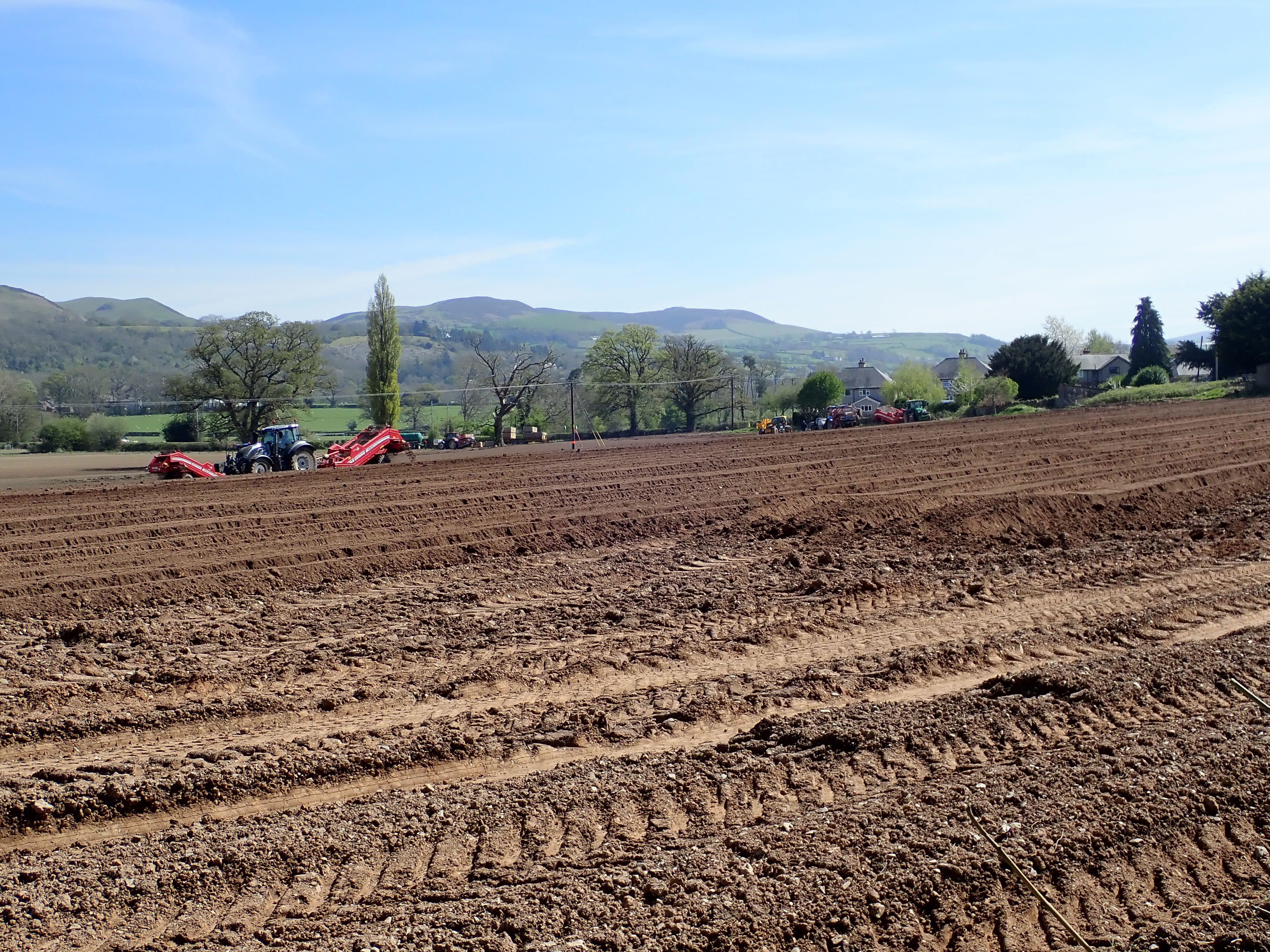 Environmental Impact (image credits: wikimedia)