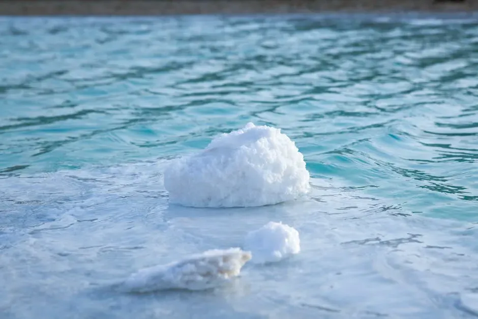 Indonesian Sea Salts: The Highest Contamination Levels Recorded (Image Credits: Pexels)