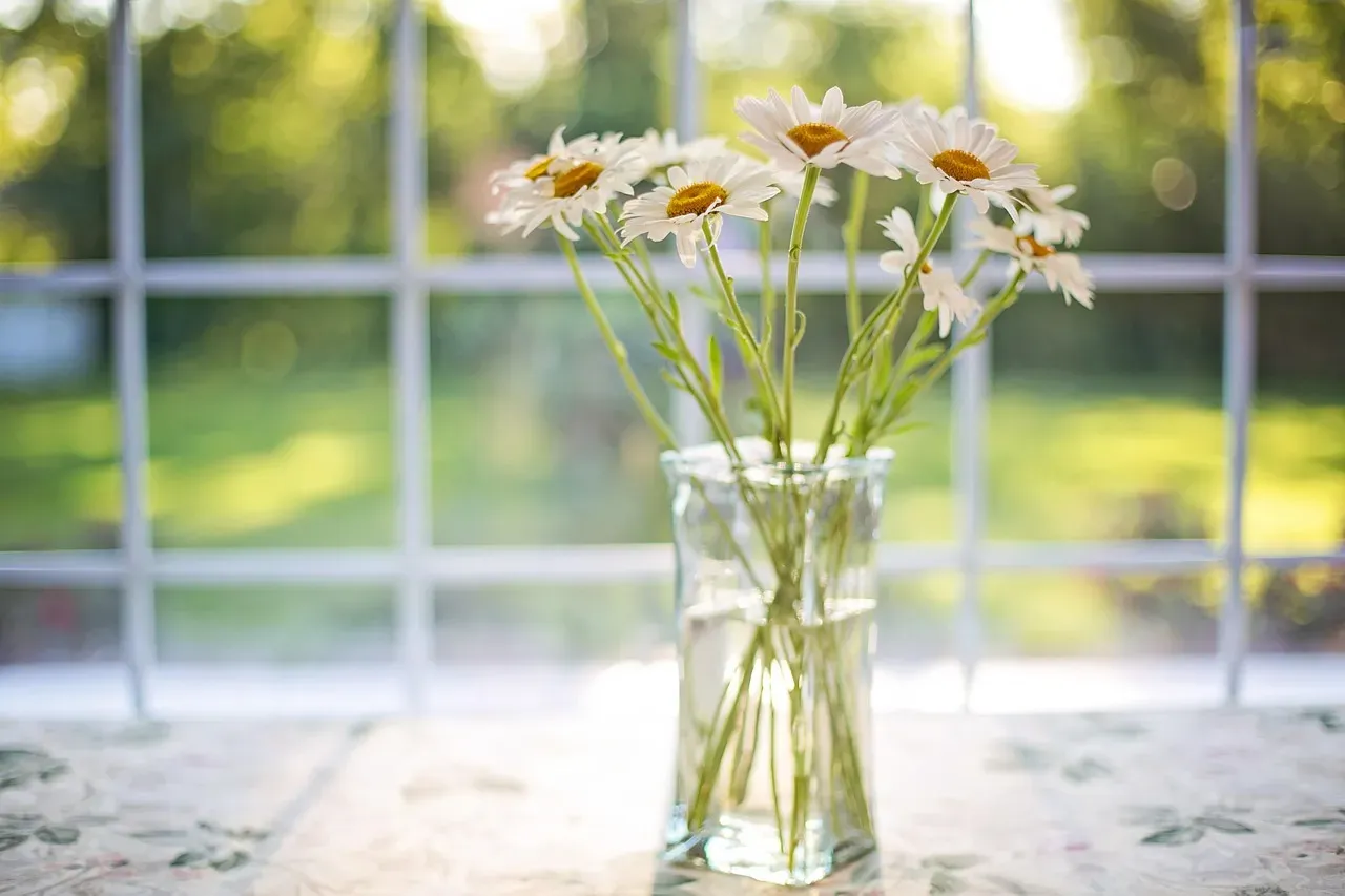 Get Some Natural Light in the First Few Minutes (Image Credits: Pixabay)
